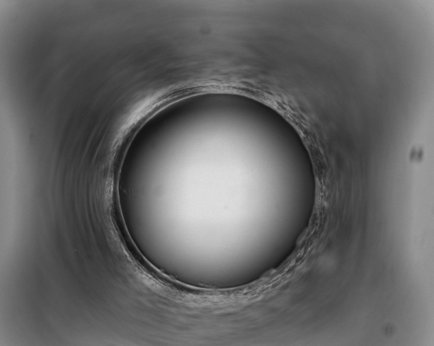 X0000099300005200805091005