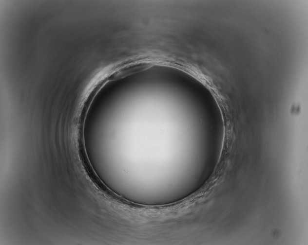 X0000099300007200805091005