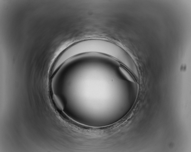 X0000099300008200805091005