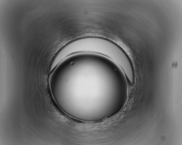 X0000099300009200805091005