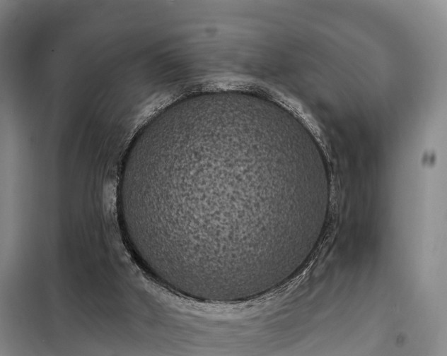 X0000099300010200805091005