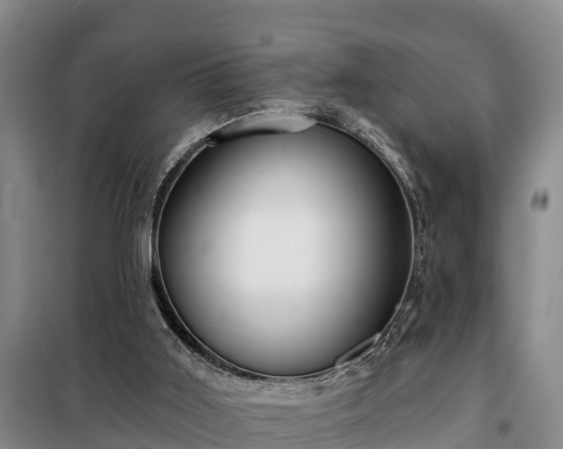 X0000099300011200805091005