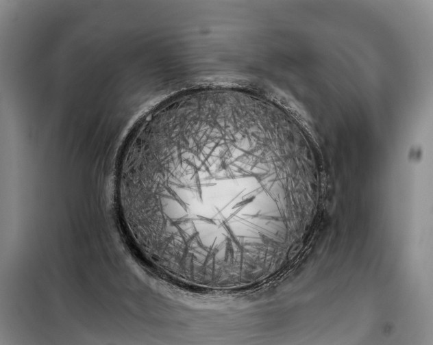 X0000099300012200805091005