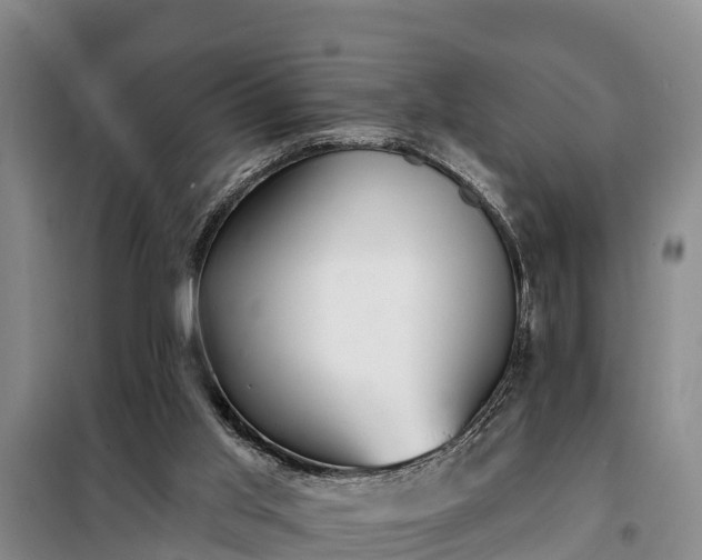 X0000099300013200805091005