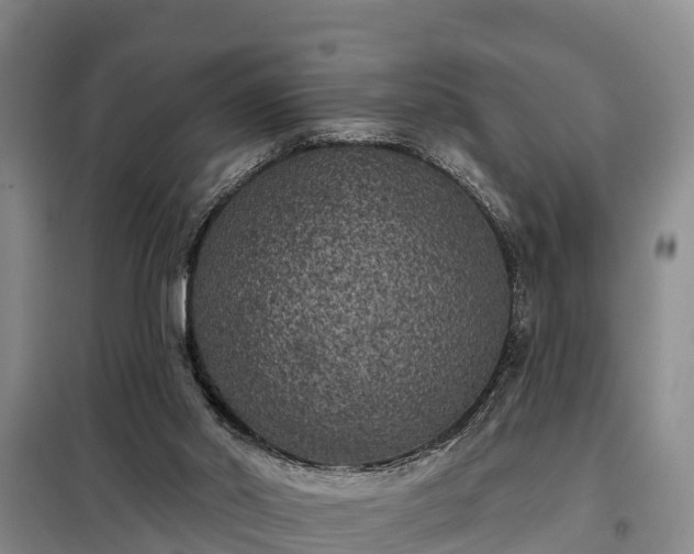 X0000099300014200805091005