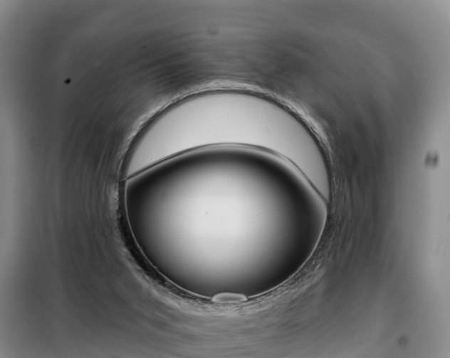 X0000099300015200805091005