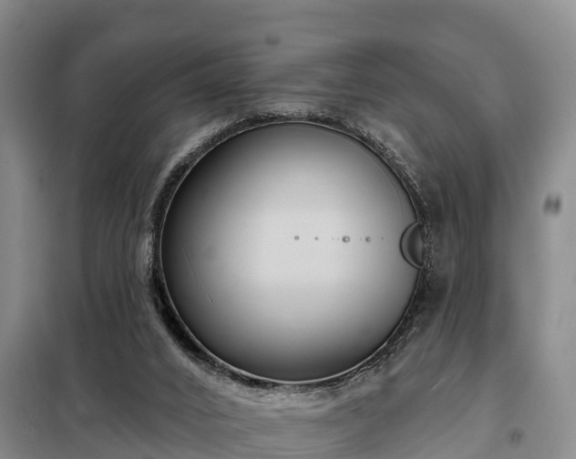 X0000099300016200805091005