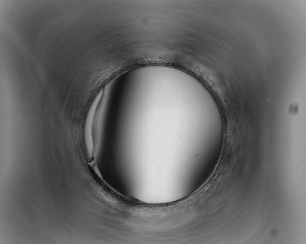 X0000099300017200805091005