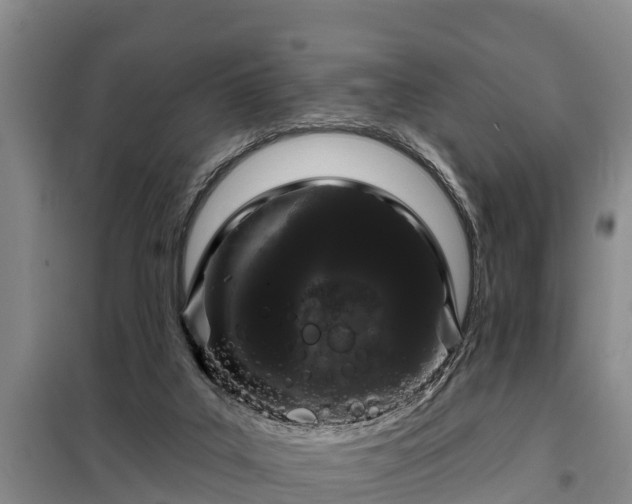 X0000099300019200805091005