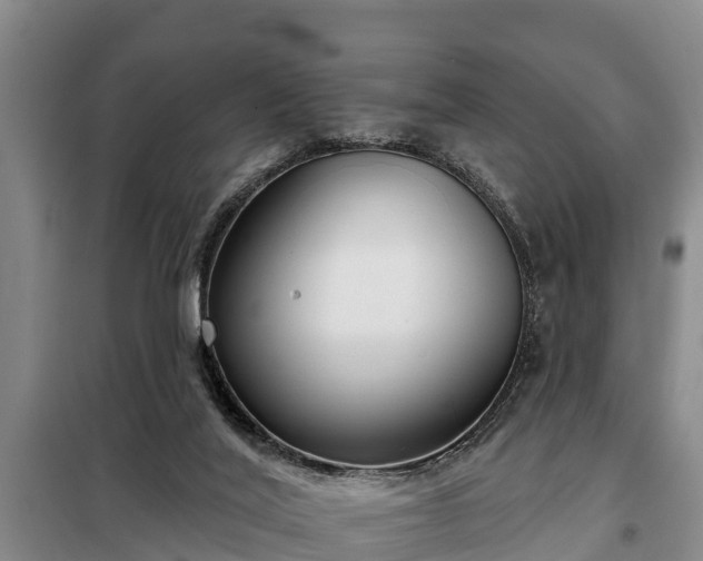 X0000099300020200805091005