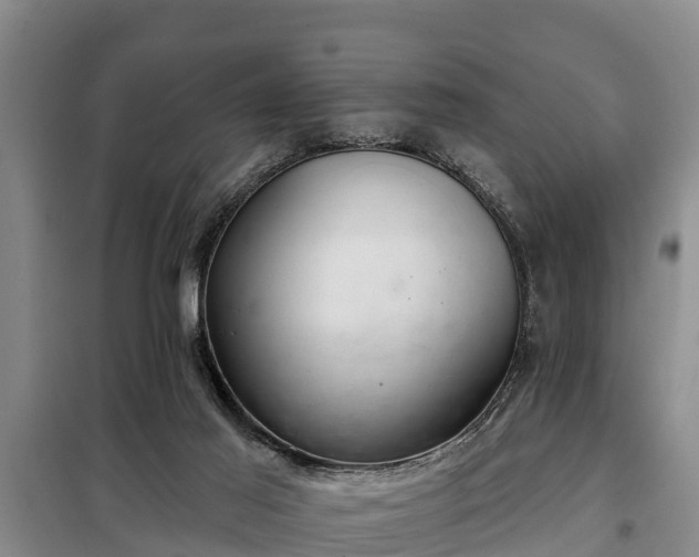 X0000099300021200805091005