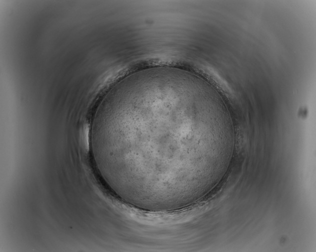 X0000099300022200805091005