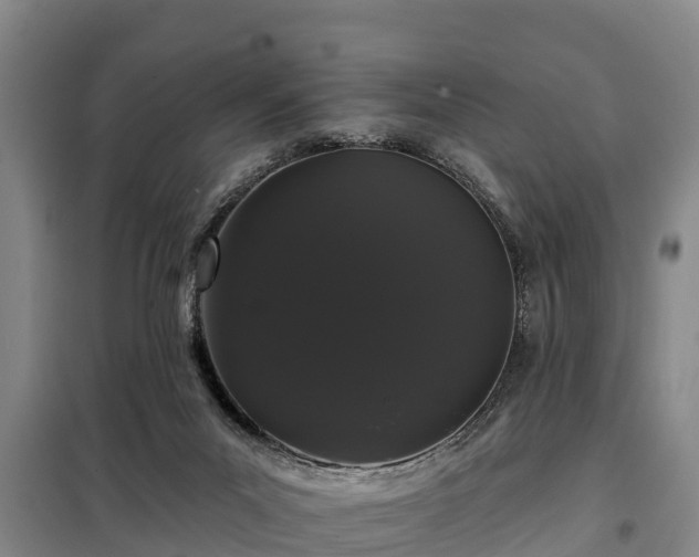 X0000099300023200805091005