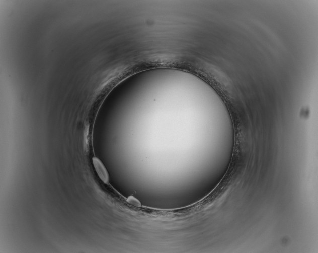 X0000099300024200805091005