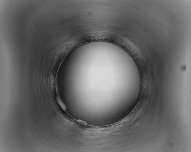 X0000099300025200805091005