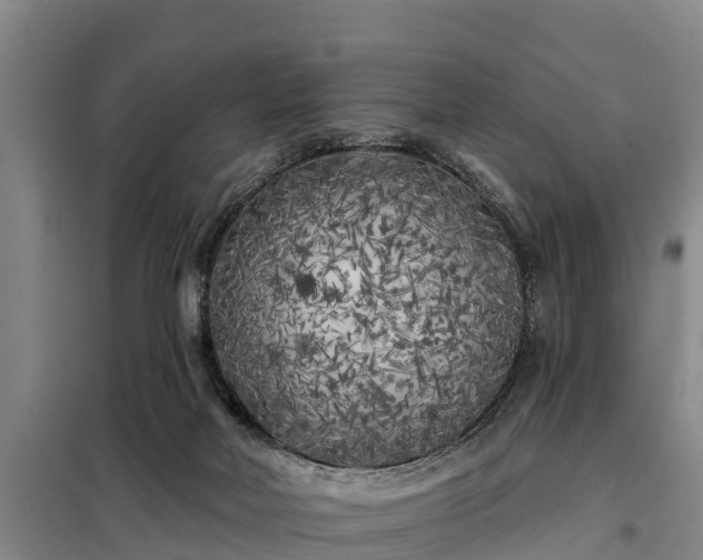 X0000099300026200805091005