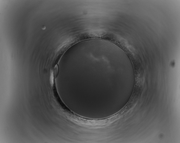 X0000099300027200805091005