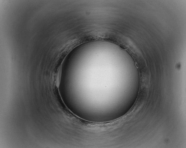 X0000099300029200805091005