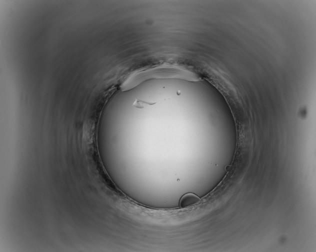 X0000099300030200805091005