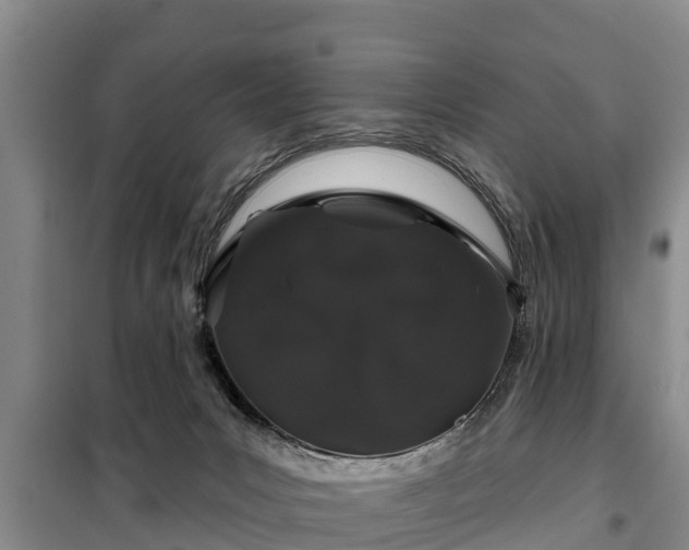 X0000099300031200805091004