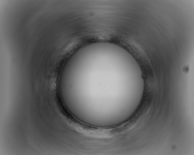 X0000099300032200805091004