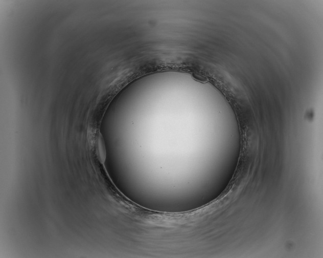 X0000099300033200805091004