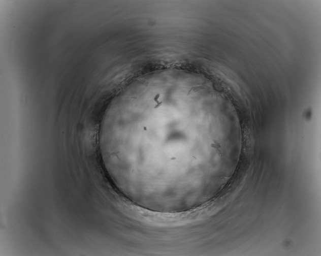 X0000099300034200805091004