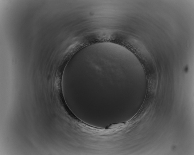 X0000099300035200805091004