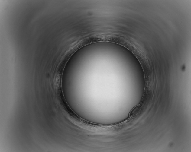 X0000099300036200805091004