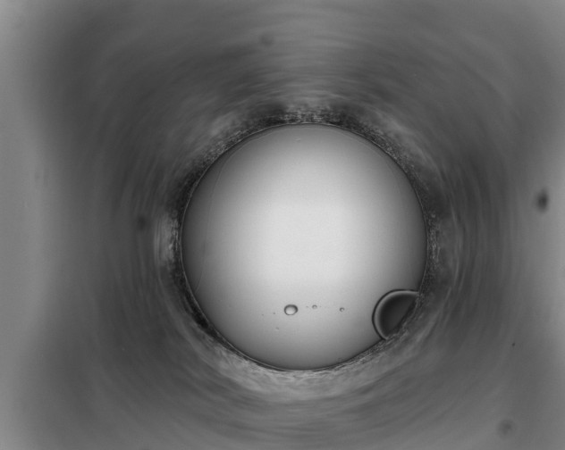 X0000099300038200805091004