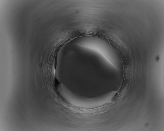 X0000099300039200805091004