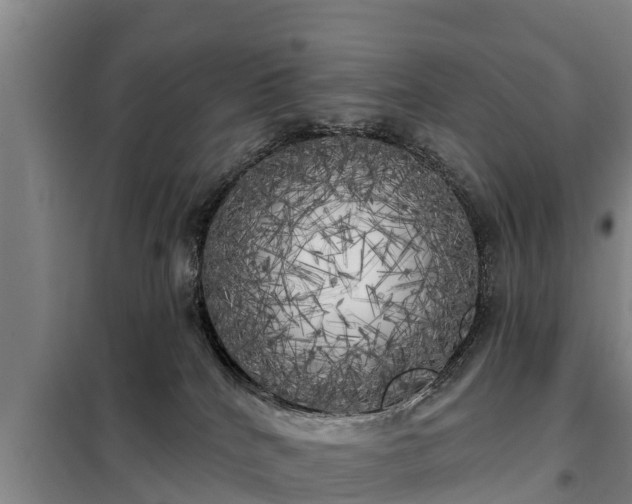 X0000099300040200805091004