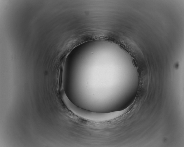 X0000099300041200805091004