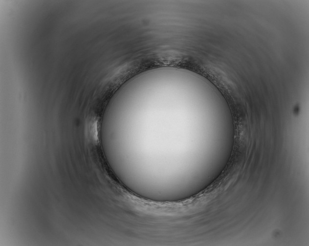 X0000099300042200805091004