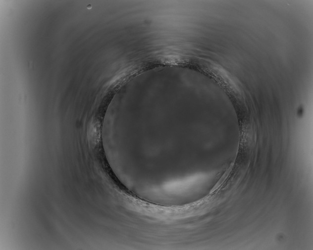 X0000099300043200805091004