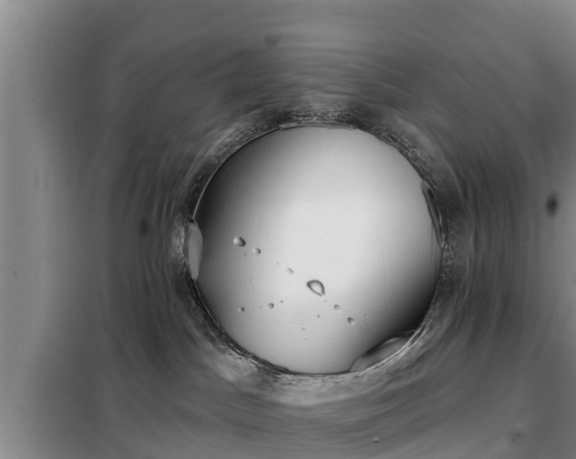 X0000099300045200805091004