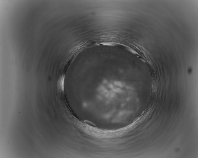 X0000099300047200805091004