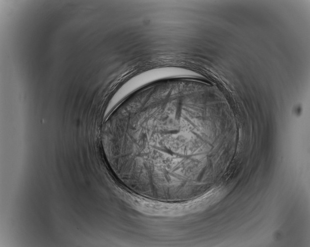X0000099300048200805091004
