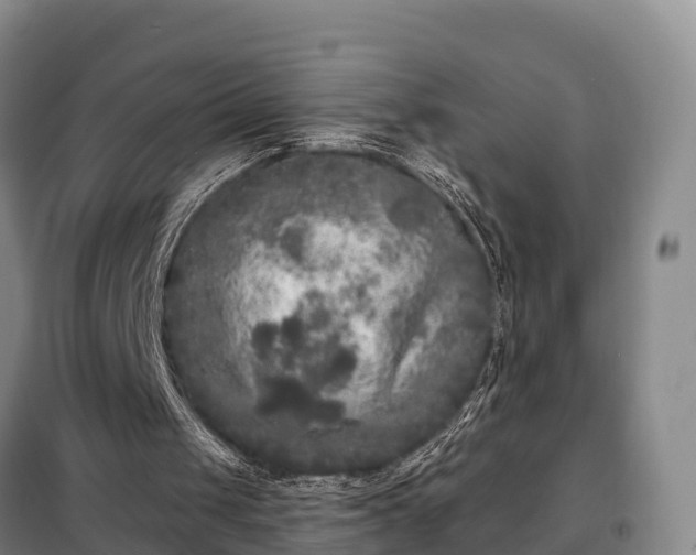 X0000099300049200805091003