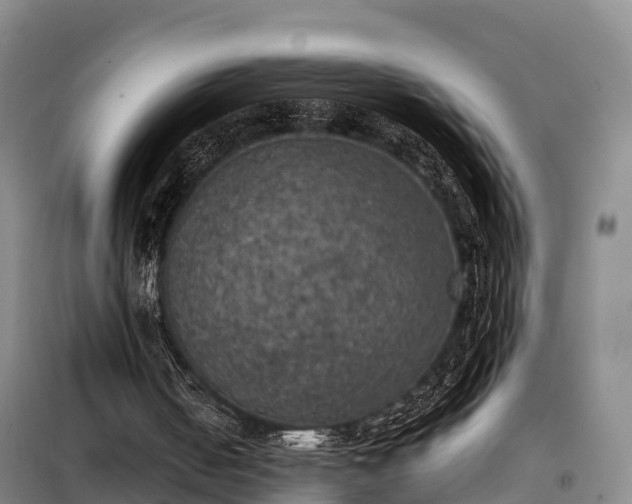 X0000099300050200805091003