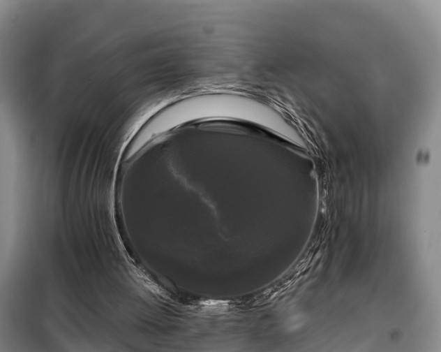 X0000099300052200805091003