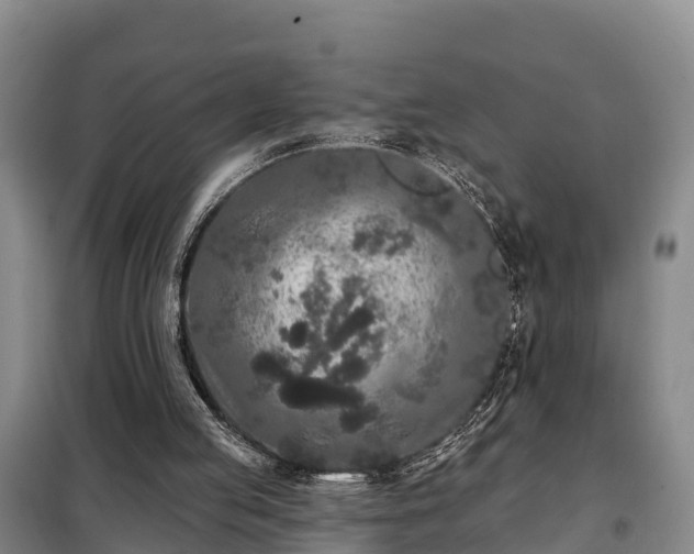 X0000099300053200805091003