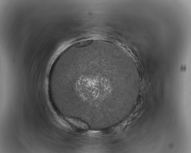 X0000099300055200805091004