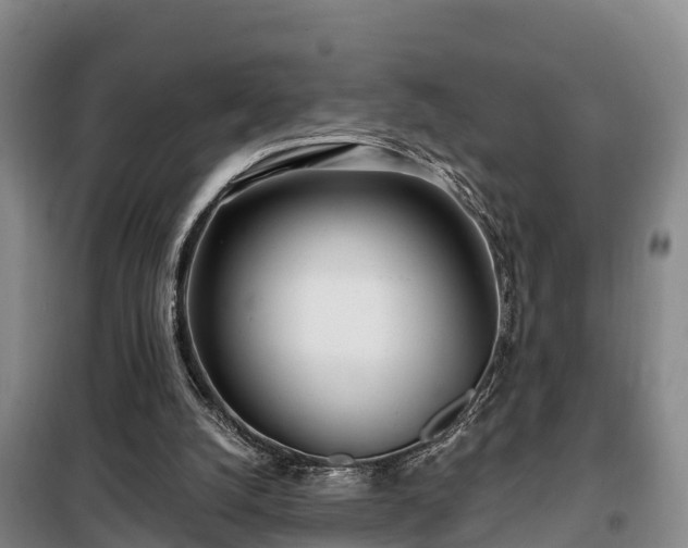 X0000099300056200805091004