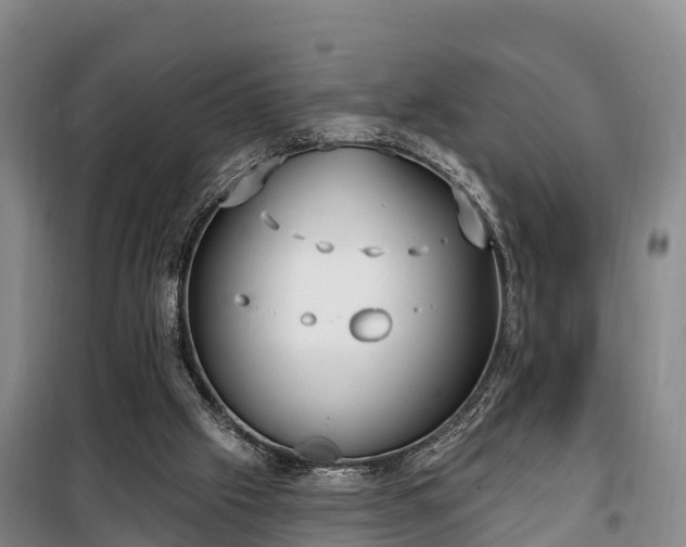 X0000099300057200805091004