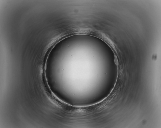 X0000099300059200805091004