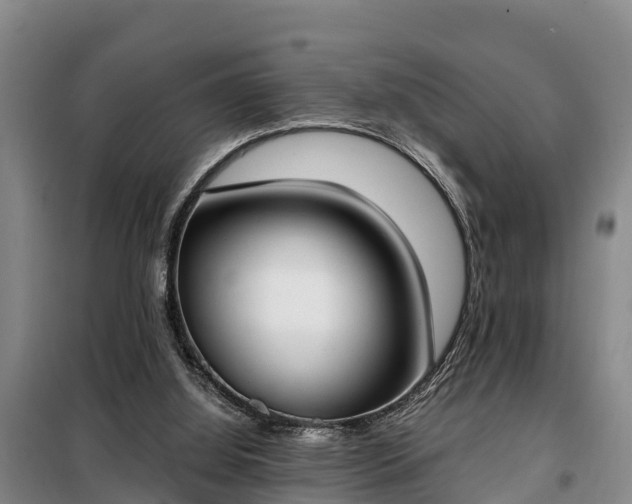 X0000099300060200805091004