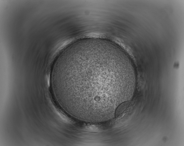 X0000099300062200805091004