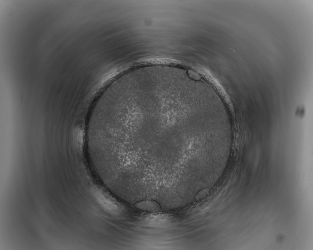 X0000099300063200805091004