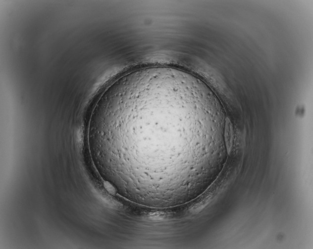 X0000099300064200805091004